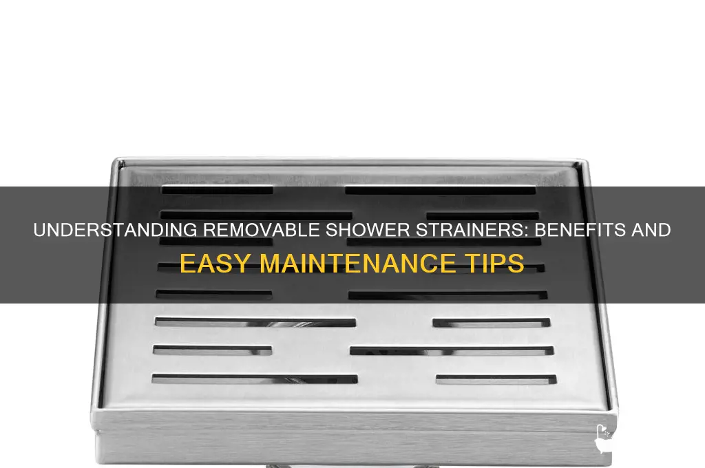 what is a removable strainer in a shower