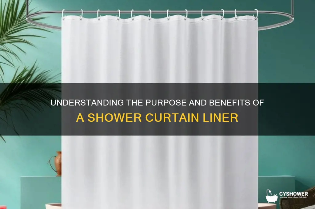 what is a shower curtain lienr