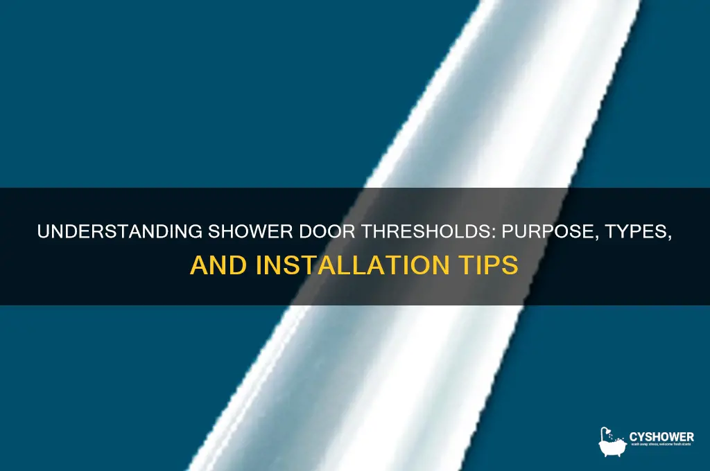 what is a shower door threshold