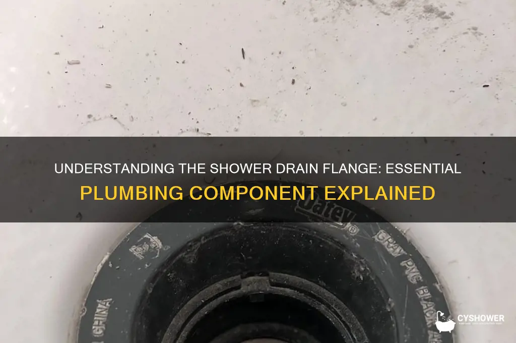 what is a shower drain flange