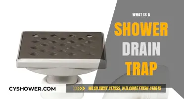 Understanding the Purpose and Function of a Shower Drain Trap