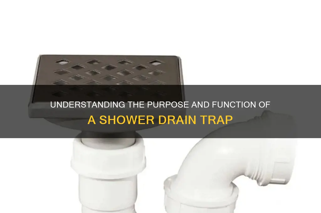what is a shower drain trap