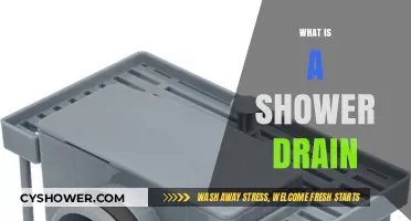 Understanding Shower Drains: Essential Components and Maintenance Tips