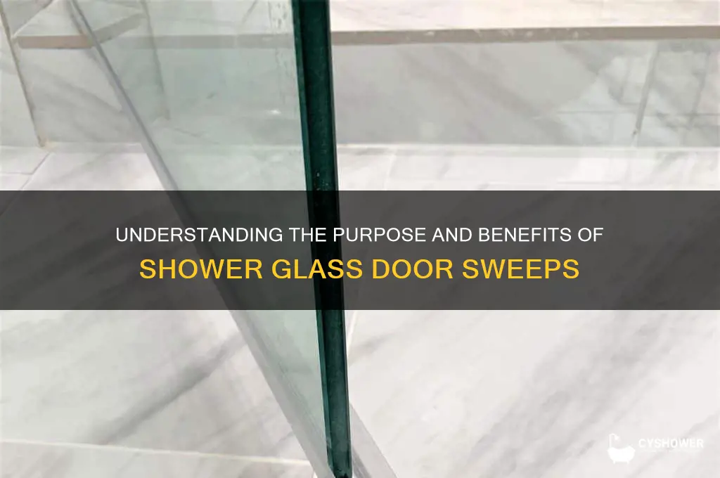 what is a shower glass door sweep