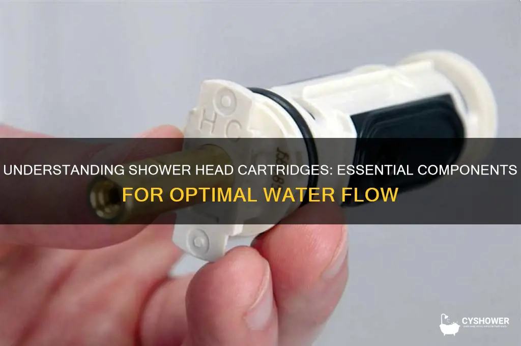 what is a shower head cartridge