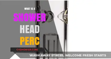 Understanding Shower Head Percs: Function, Benefits, and How They Work