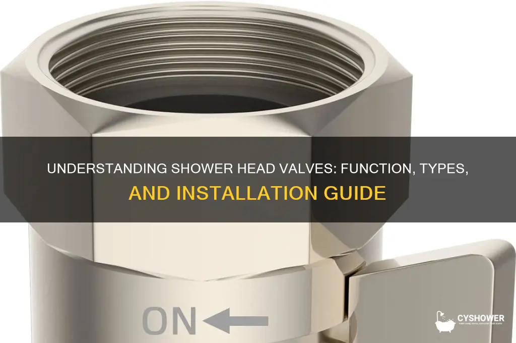 what is a shower head valve