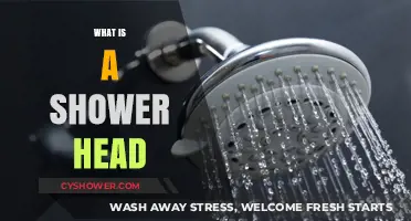 Understanding Shower Heads: Types, Functions, and Choosing the Right One