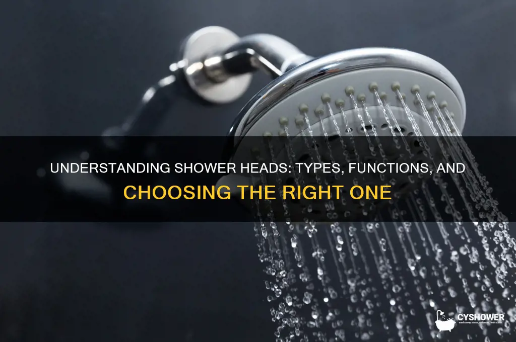 what is a shower head