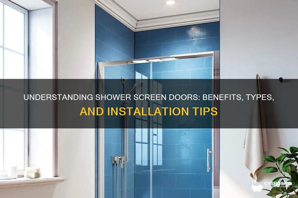 what is a shower screen door