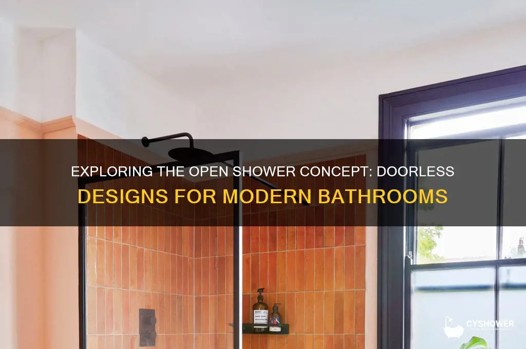what is a shower without a door called