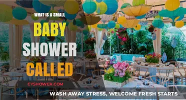 Intimate Celebrations: The Charm of a Small Baby Shower