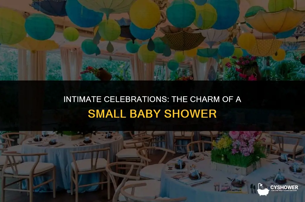 what is a small baby shower called