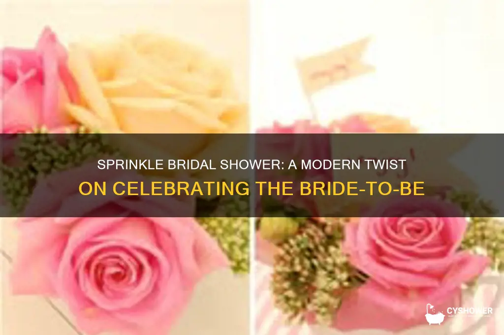 what is a sprinkle bridal shower