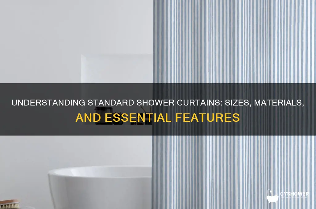 what is a standard shower curtain
