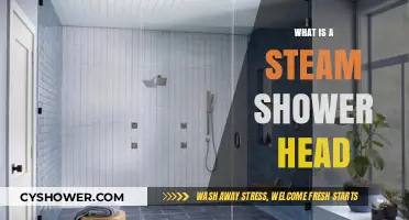 Discover the Luxury and Benefits of a Steam Shower Head