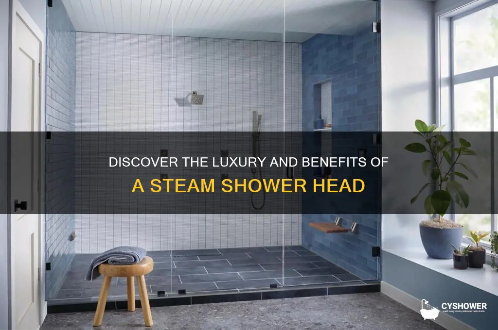 what is a steam shower head