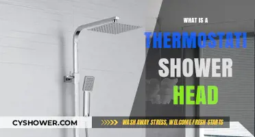 Discover the Benefits of a Thermostatic Shower Head Today