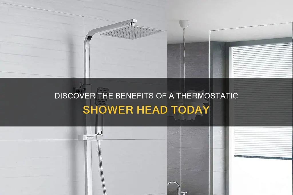 what is a thermostatic shower head