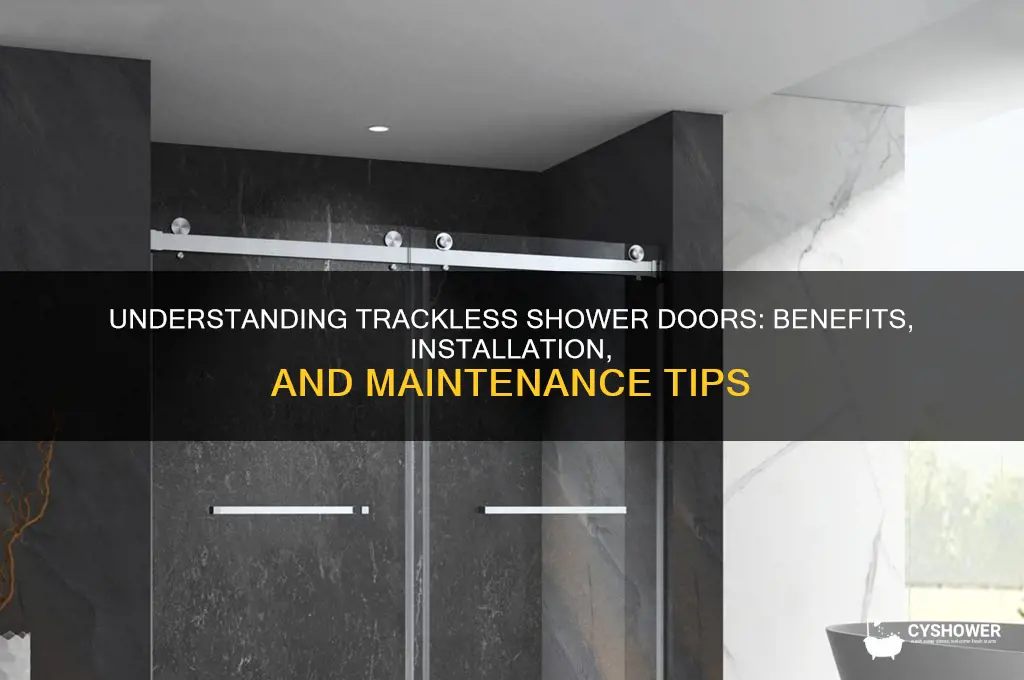 what is a trackless shower door