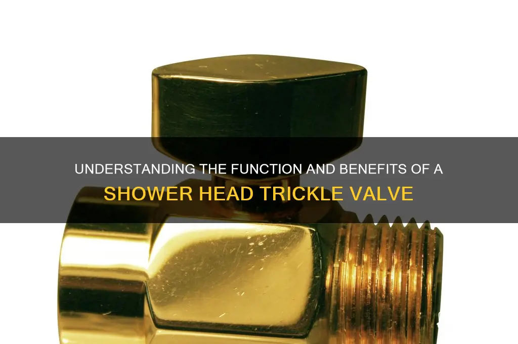 what is a trickle valve on a shower head