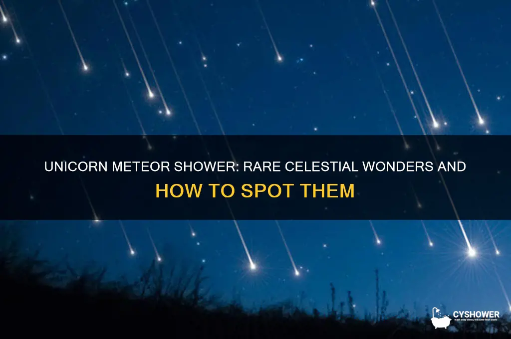what is a unicorn meteor shower