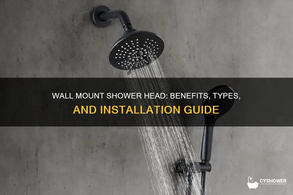 what is a wall mount shower head
