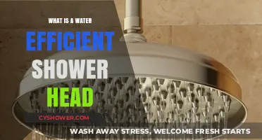 Save Water, Save Money: Understanding Water-Efficient Shower Heads
