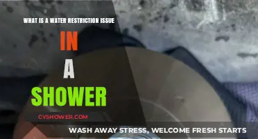 Understanding Water Restriction Issues in Showers: Causes and Solutions