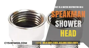 Understanding the Water Restrictor in Your Speakman Shower Head