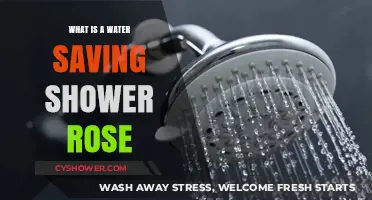 Eco-Friendly Shower Upgrade: Understanding Water-Saving Shower Rose Benefits