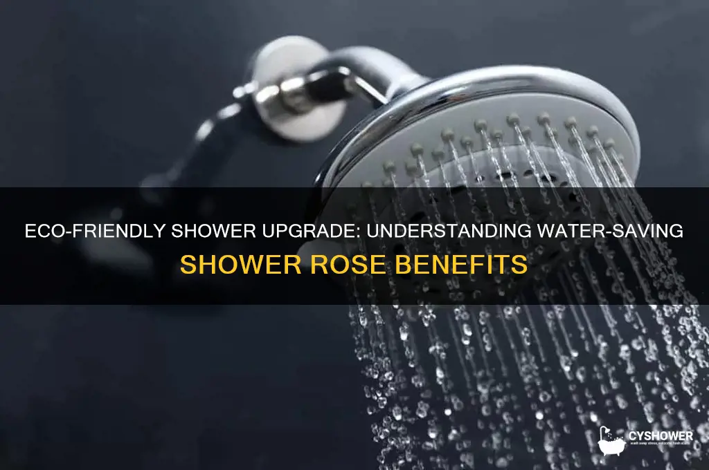 what is a water saving shower rose