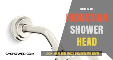 Discover the Benefits of Air Induction Shower Heads: A Guide