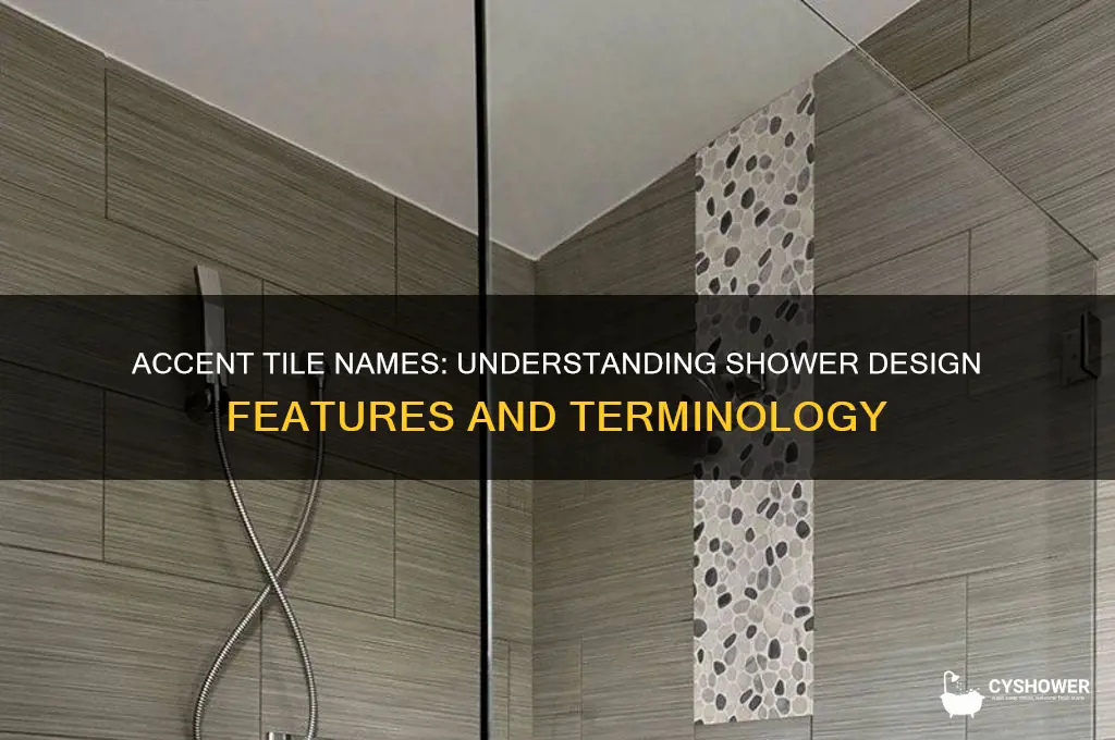 what is an accent tile in a shower called