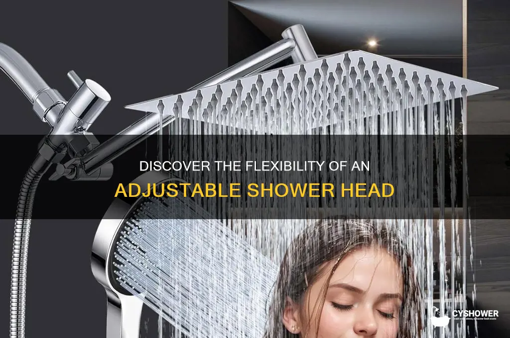 what is an adjustable shower head