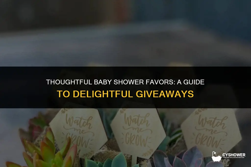 what is an appropriate baby shower favor