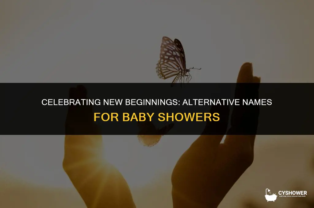 what is another name for a baby shower