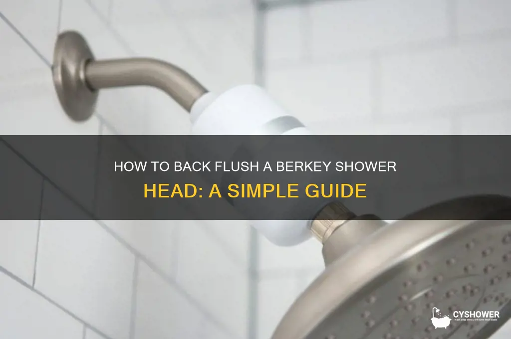 what is back flushing a berkey shower head