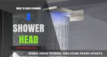 How to Back Flush a Shower Head: A Simple Cleaning Guide