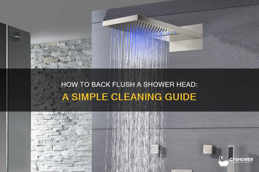 what is back flushing a shower head