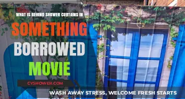 Something Borrowed Shower Curtain Mystery: Unveiling the Hidden Scene