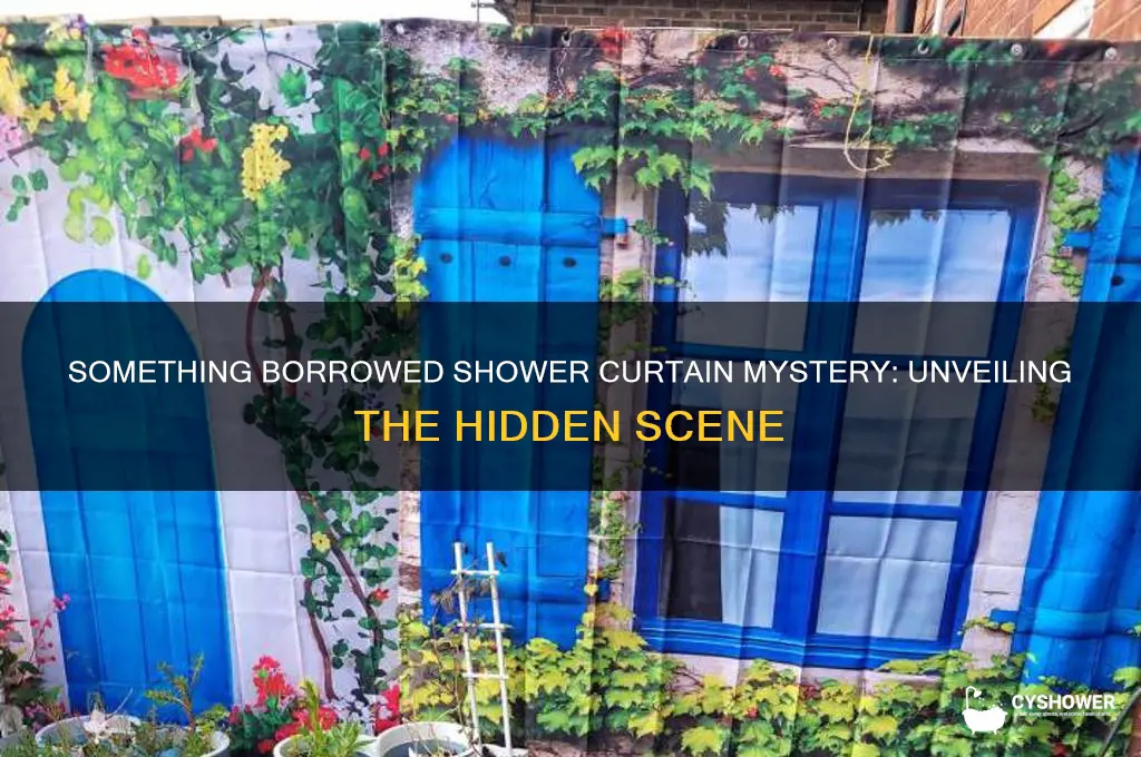 what is behind shower curtains in something borrowed movie