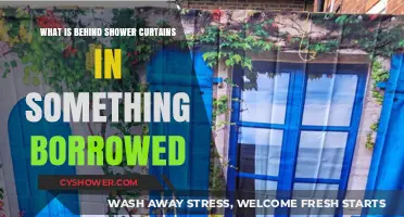 Unveiling the Mystery: What's Behind Shower Curtains in 'Something Borrowed