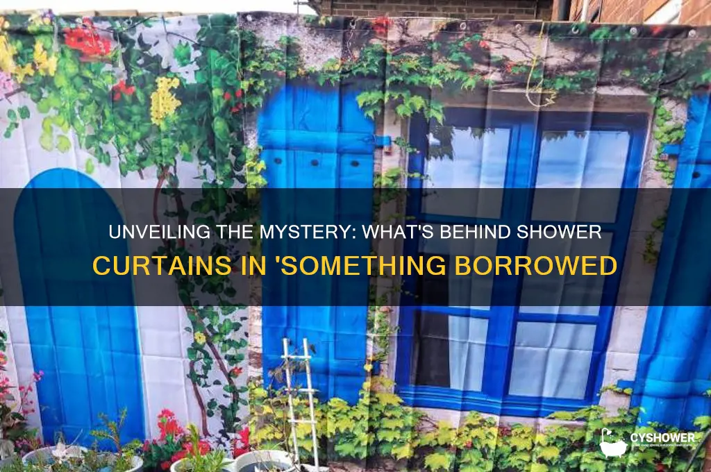 what is behind shower curtains in something borrowed