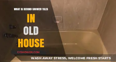 Unveiling the Hidden Secrets Behind Old House Shower Tiles