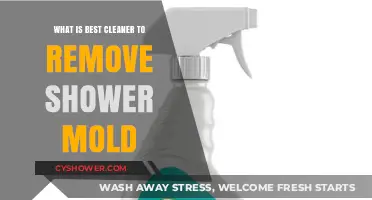 Effective Shower Mold Removal: Top Cleaners to Keep Your Bathroom Spotless
