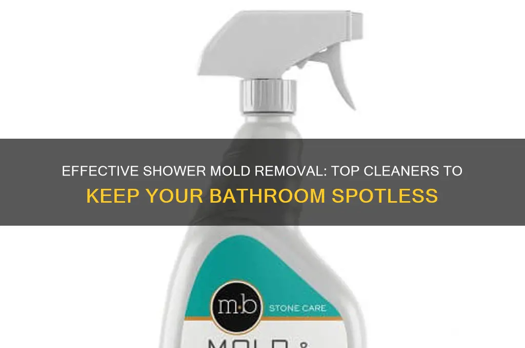 what is best cleaner to remove shower mold