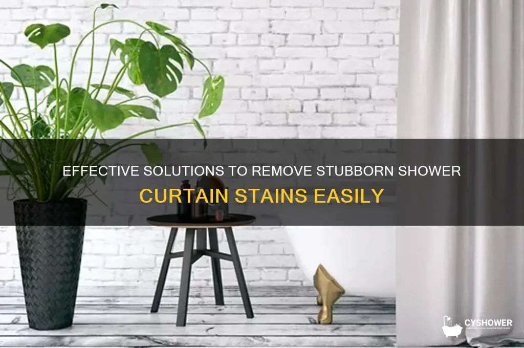 what is best on shower curtain stains