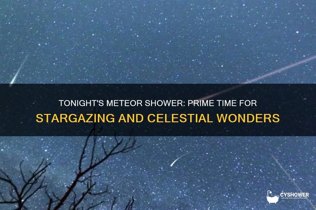 what is best time for meteor shower tonight