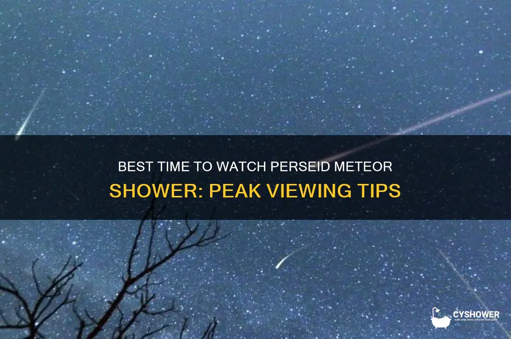 what is best time to see perseid meteor shower